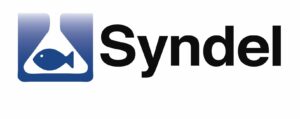 Syndel Logo - 2017_screensnip