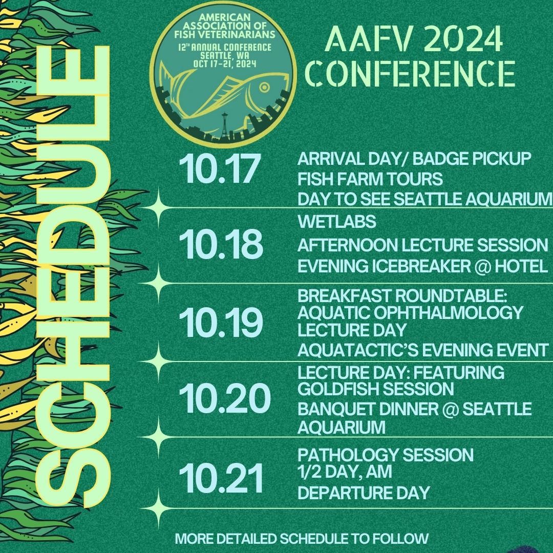 2024 AAFV Schedule (4)