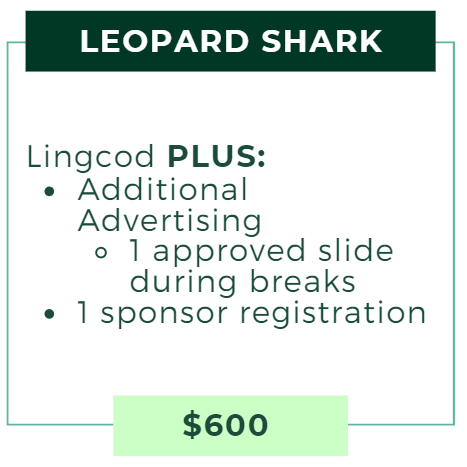 Leopard Shark